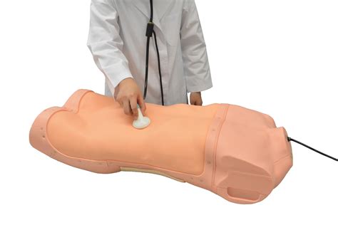 Abdominal Assessment Simulator With Auscultation 3 Dmed