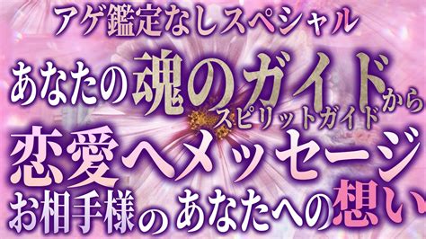 個人鑑定級 アゲ鑑定なし【スピリットガイドがあなたの恋愛に伝えたい事 恋愛お相手様のあなたへの気持ちも詳細リーディング】オラクルリーディング