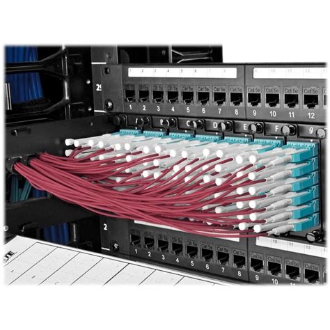 Tripp Lite by Eaton 100FT OM4 50/125um Laser-Optimized Multimode Duplex LC-to-LC Fiber Patch Cable — Blue (Single) (N201-OM4-LC-LC-100FT-BL-1PK)