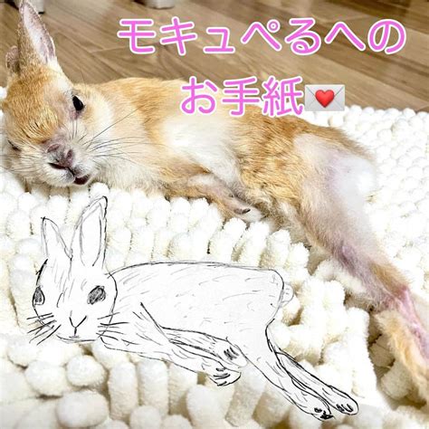 モキュさんのインスタグラム写真 モキュinstagram「💌モキュぺるへのお手紙💌 ストーリーにて 投稿していましたが 長年、この