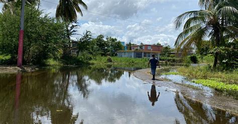 Salud Confirma Muerte Por Leptospirosis Tras El Paso De Fiona Metro