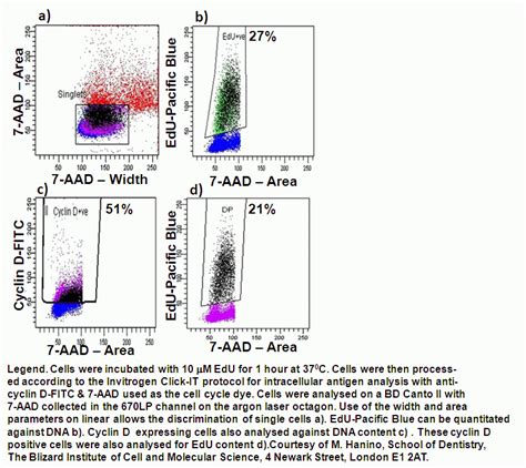 EdU Cell Cycle Analysis Flow Cytometry Core Facility