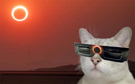 Memes Eclipse Solar 2023 En México Hoy Telediario México