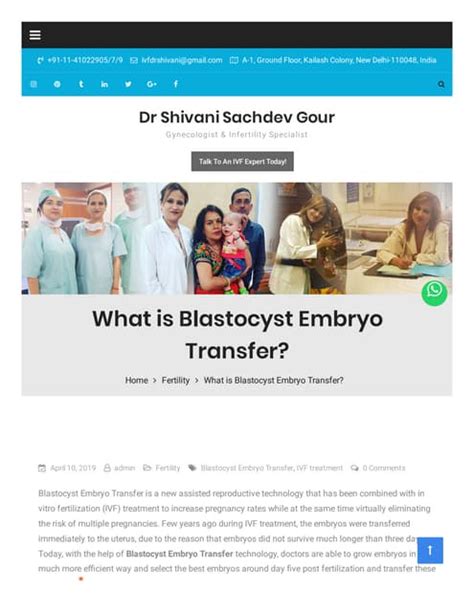 What is Blastocyst Embryo Transfer? | PDF