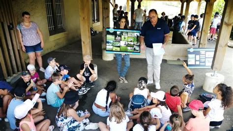 Beaumont Saint Cyr les écoliers visitent et se testent au golf du