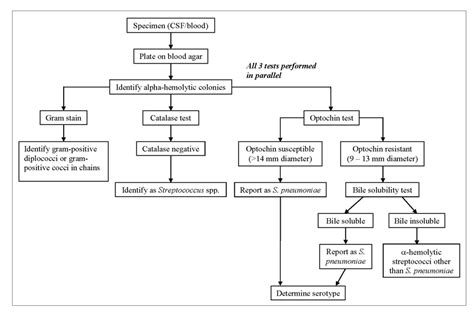 Meningitis Lab Manual Id Characterization Strep Pneumoniae Cdc