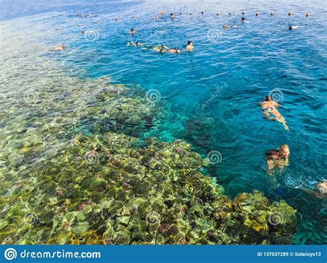 Sharm El Sheikh Egipto 31 De Diciembre De 2018 La Gente Que Bucea