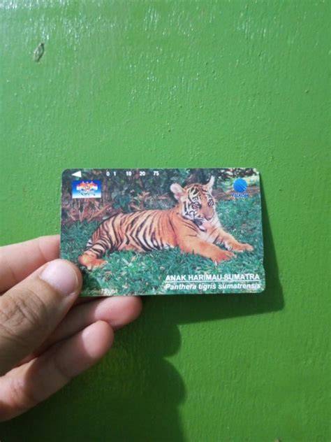 Kartu Telepon Lokal Edisi Anak Harimau On Carousell