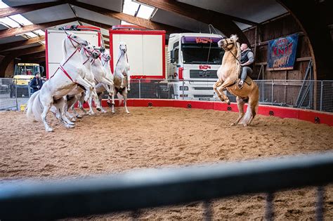 Zirkus Charles Knie Eine Reportage Aus Dem Winterquartier