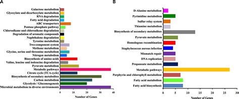 Frontiers Deciphering The Antibacterial Mode Of Action Of Alpha