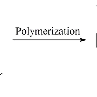 Structure Of Tert Butylamino Ethyl Methacrylate Tbaema And Its