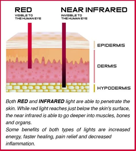 Key Benefits Of Red Light Therapy Health Mate Sauna