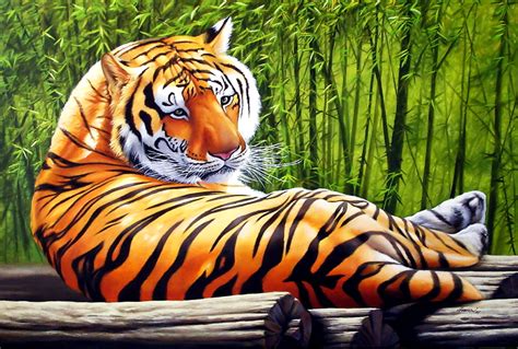 Imagen Para Pantalla Tigre Vida Silvestre Tigre De Bengala