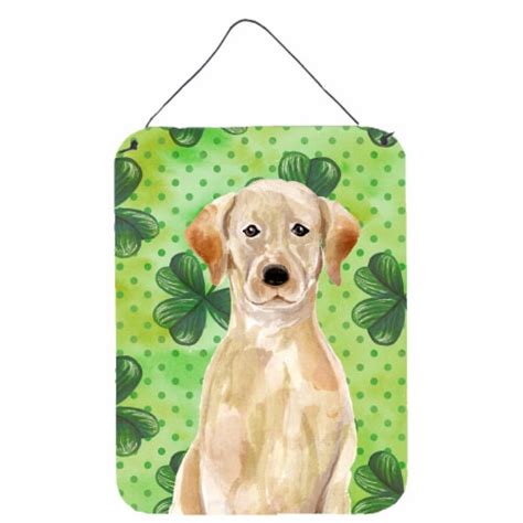 Carolines Treasures Bb9541ds1216 Yellow Labrador St Patrick S Wall Or Door Han 16hx12w Kroger