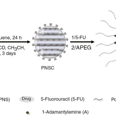 Schematic Illustration Of The Fabrication Of Self Assembled