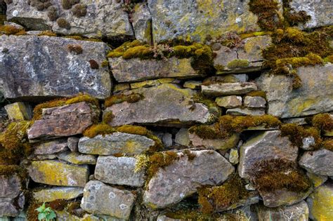 Moss Covered Stone Wall Texture Photo 6400 Motosha Free Stock Photos