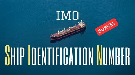 Imo Ship Identification Number Format Extension Impact Assessment