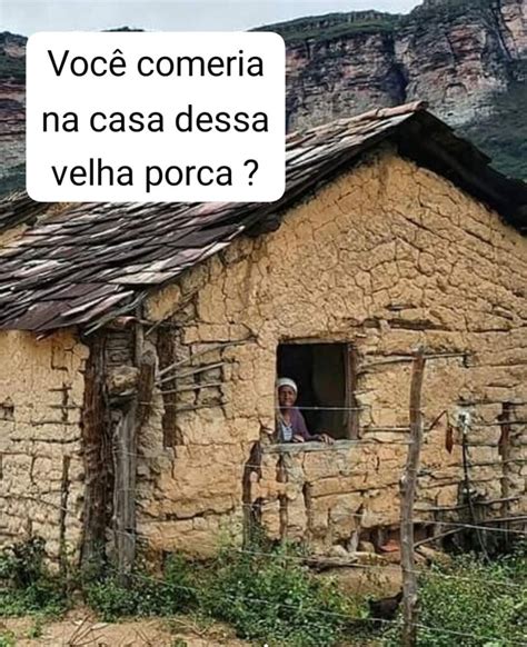 Você comeria velha porca na casa dessa iFunny Brazil