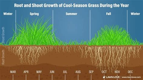 How And When To Plant Grass Seed In Indiana