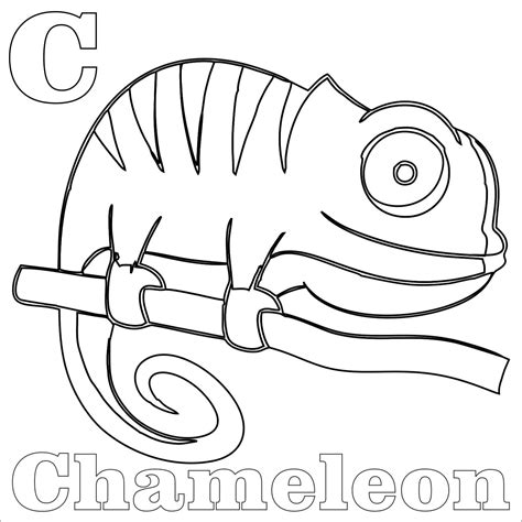 Chameleon Coloring Pages - Best Coloring Pages For Kids