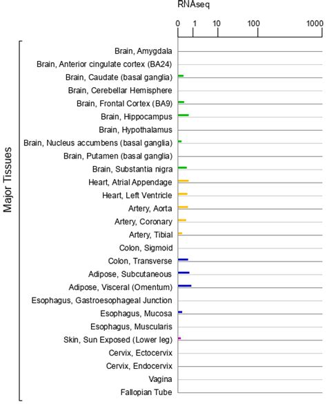 Tarm Gene Genecards Tarm Protein Tarm Antibody