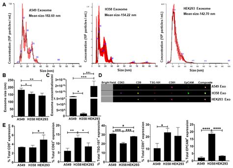 Cells Free Full Text Lung Tumor Cell Derived Exosomes Promote M2