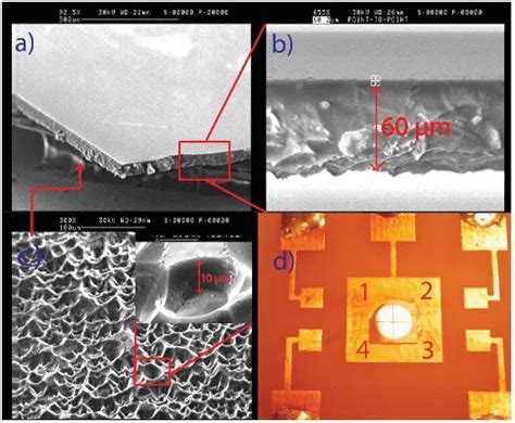 Figure 1 Sem Images Of A Cvd Diamond Film B A Side View Of The Dbm