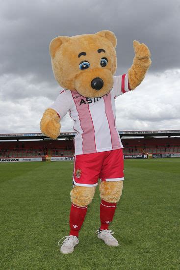 Boro Bear Poses Photograph During Stevenage Editorial Stock Photo