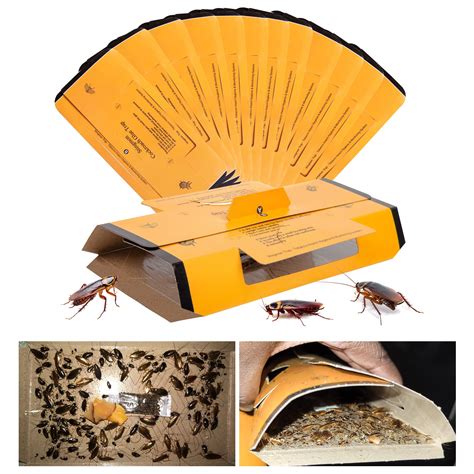 Snapklik.com : 18 Pack Roach Traps Indoor Roach Killer Indoor Infestation