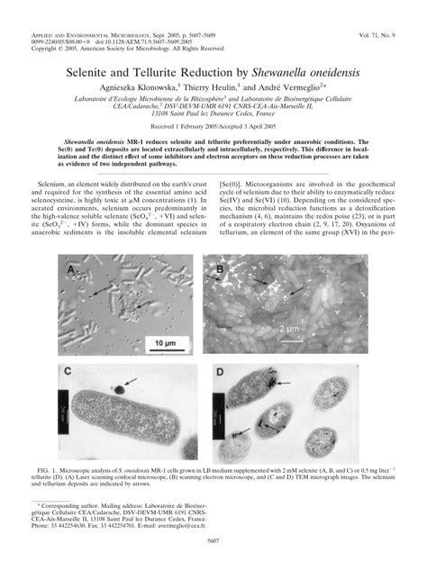 (PDF) Selenite and Tellurite Reduction by Shewanella oneidensis