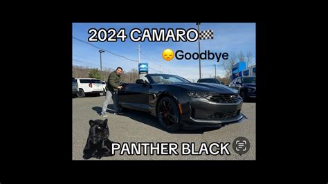 Collector S Edition Camaro Panther Youtube