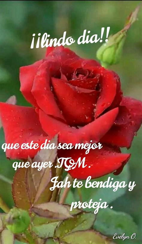 Pin De 1 713 577 9137 En Fotos Frases De Bendiciones Amo A Mis Hijos Frases Frases Lecciones