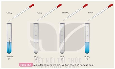 NaOH BaCl2 Hiện Tượng Phản Ứng Quan Sát và Ứng Dụng