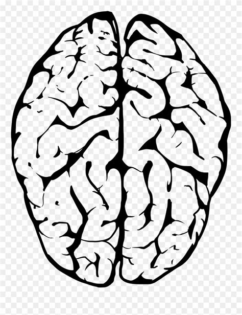 Brain Outline Svg