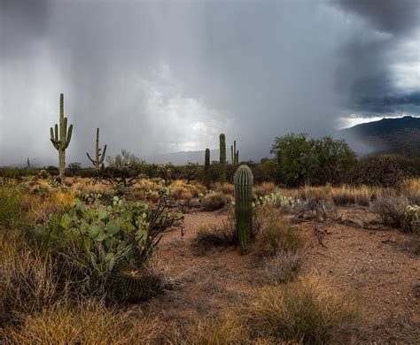 Desert Rain Photograph by Art Morgan - Pixels