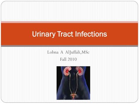 Ppt Urinary Tract Infections Powerpoint Presentation Free Download