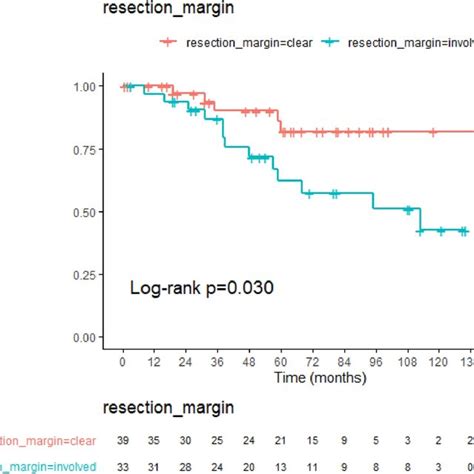 A Kaplan Meier Survival Curve Showing The Overall Recurrence Free