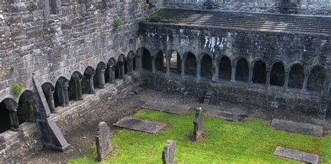 Saints and Stones: Sligo Abbey (Mainistir Shligigh)