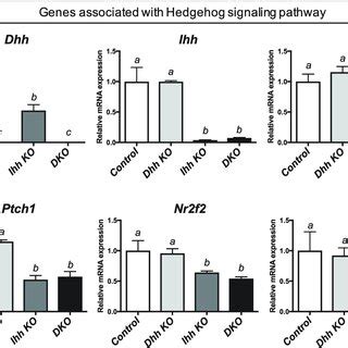 Differentially Expressed Genes That Are Involved In The Hh Signaling