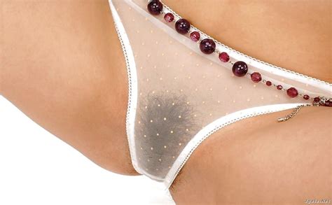 Transparency Porn Pic