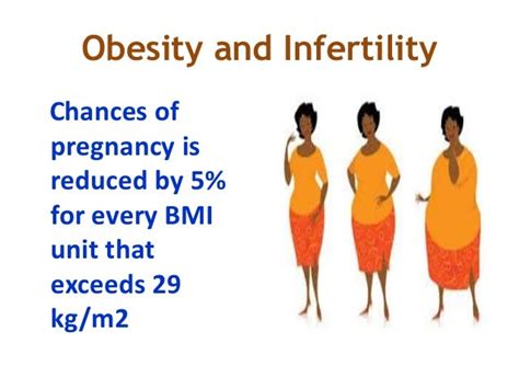 Obesity And Female Infertility ‘a Real And Alarming Problem For Infert