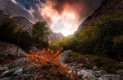 Papel de parede natureza céu Plantas luz solar montanhas