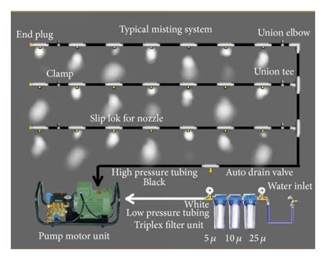 Typical Representation Of Misting Systems Download Scientific Diagram