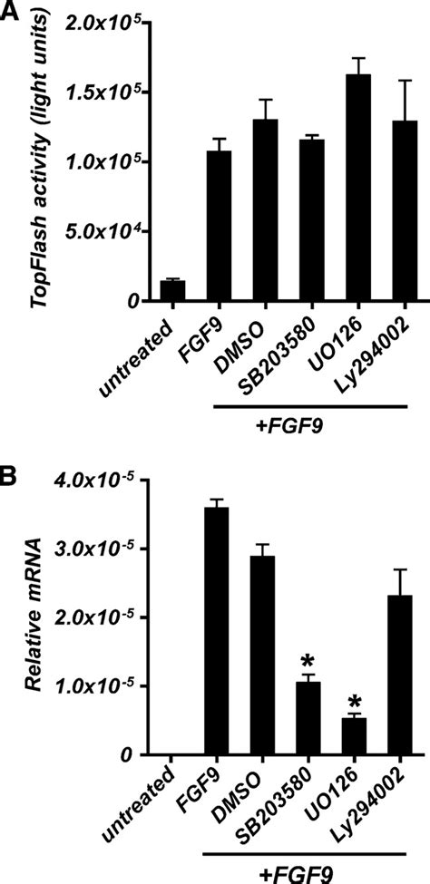 Erk And P Mapk Pathways In Addition To Tcf Catenin Signaling Are