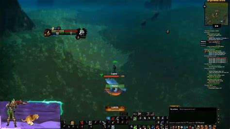 Crazy Lupos Tame In Everlook Pvp Wow Hunter Youtube