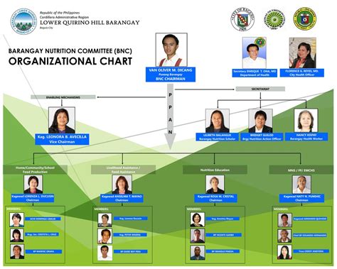 Barangay Organizational Chart Sample: A Visual Reference of Charts ...