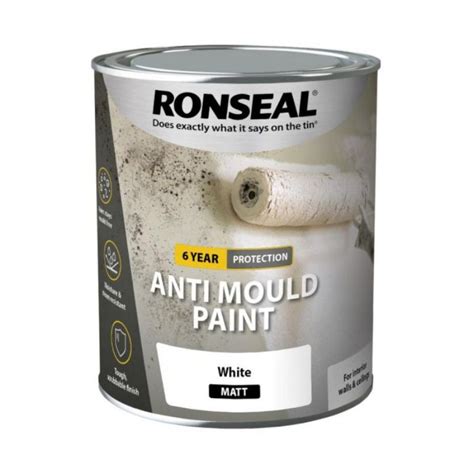 Topline Doyles Ronseal 750ml Anti Mold Paint White