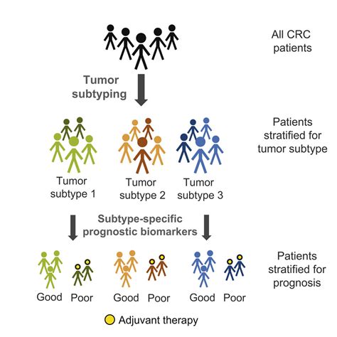 Molecular Subtype Specific Biomarkers Improve Prediction Of Prognosis