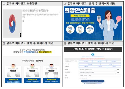 금감원 “정부지원 사칭 불법광고 성행” 소비자 경보 발령