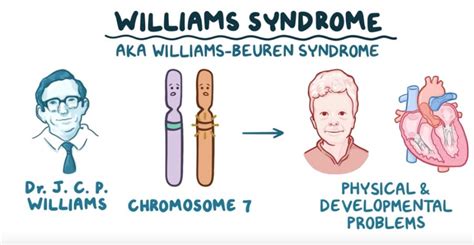 Williams Syndrome Chromosome